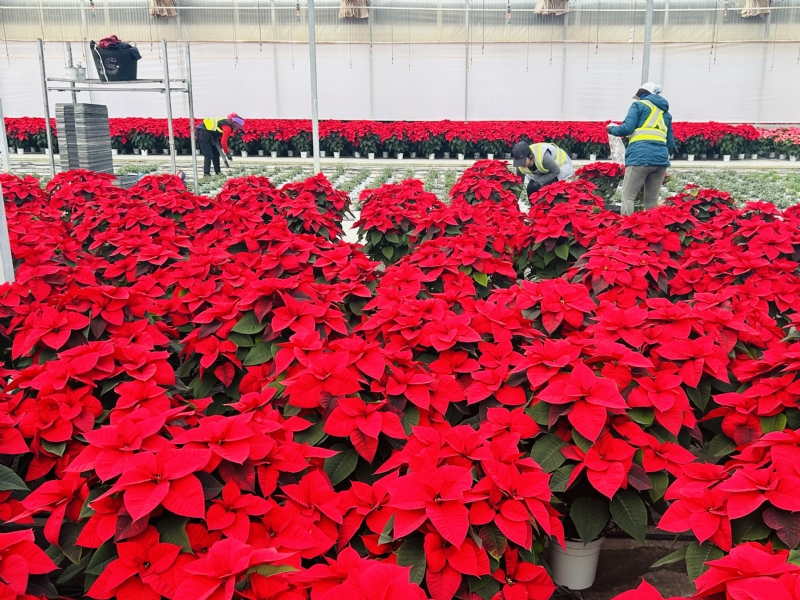 Fotoagrafía relacionada con la noticia, 