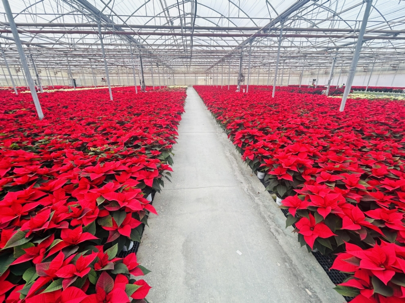 Fotoagrafía relacionada con la noticia, 