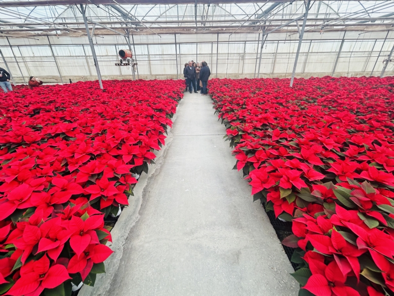 Fotoagrafía relacionada con la noticia, 