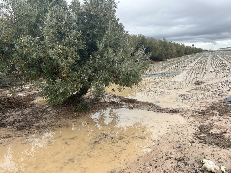 Fotoagrafía relacionada con la noticia, 