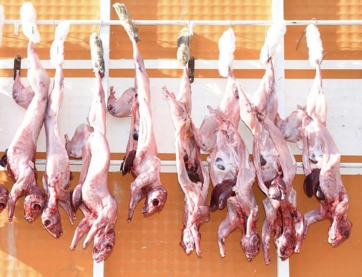 Fotoagrafía relacionada con la noticia, 