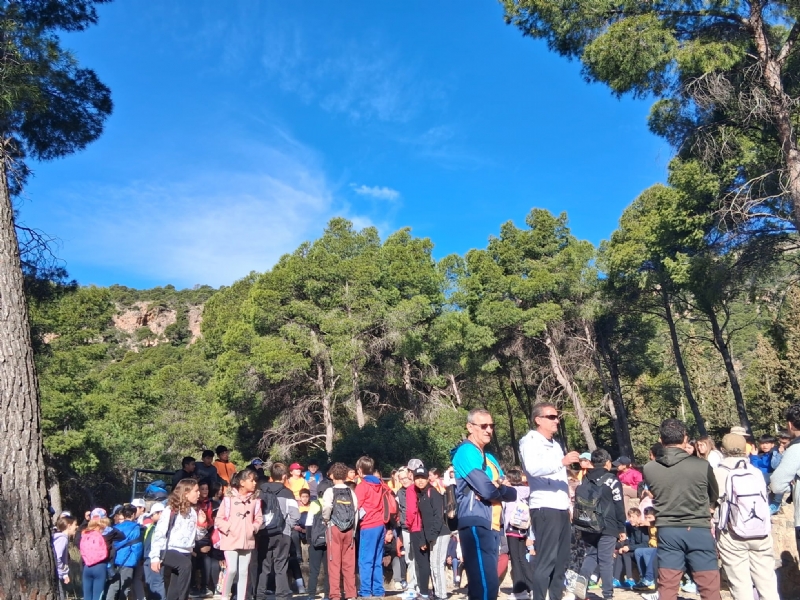 Fotoagrafía relacionada con la noticia, 