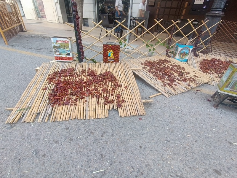 Fotoagrafía relacionada con la noticia, 