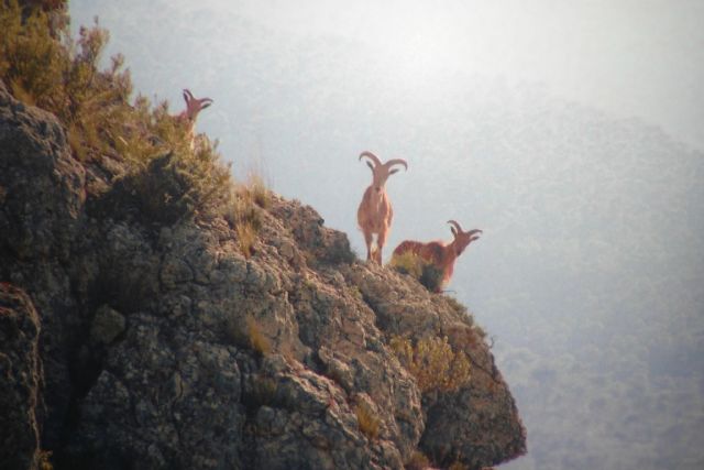 Fotoagrafía relacionada con la noticia, 