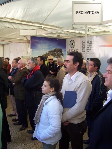 Fotoagrafía relacionada con la noticia, 