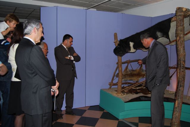Fotoagrafía relacionada con la noticia, 