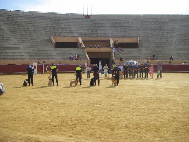 Fotoagrafía relacionada con la noticia, 