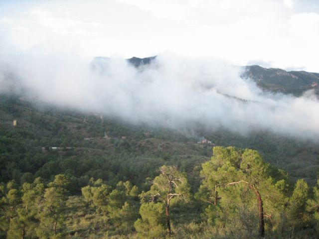 Fotoagrafía relacionada con la noticia, 