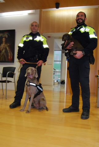 Fotoagrafía relacionada con la noticia, 