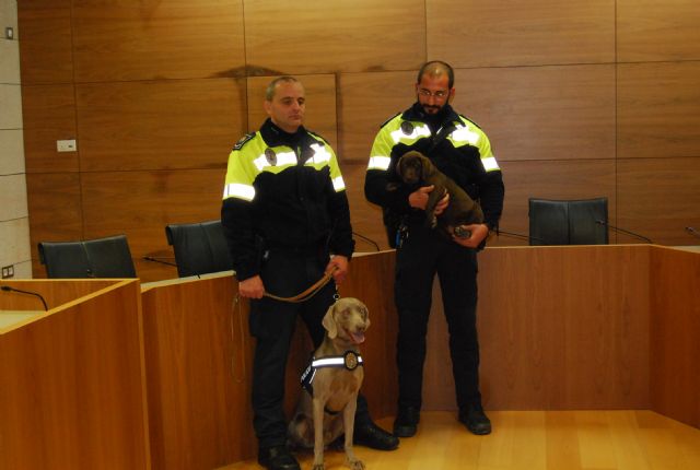 Fotoagrafía relacionada con la noticia, 