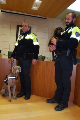 Fotoagrafía relacionada con la noticia, 