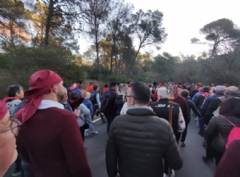 Ver foto 42