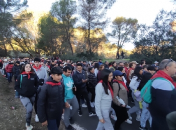 Ver foto 44