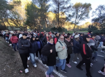 Ver foto 45