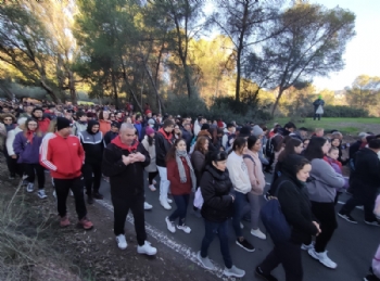Ver foto 47