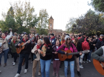 Ver foto 82