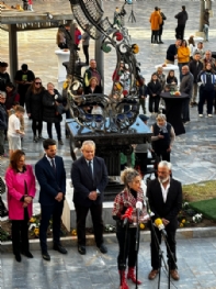 Ver foto 33