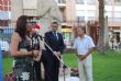 Ver foto 8