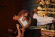 Ver foto 1