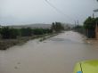 Ver foto 1