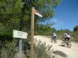 MÁS DE SESENTA CICLISTAS TOTANEROS CONSIGUEN EL JUBILEO TRAS REALIZAR LA PEREGRINACIÓN A CARAVACA DE LA CRUZ EN BICICLETA - Foto 9