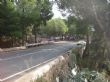 Ver foto 45