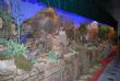 Ver foto 6
