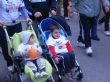 Ver foto 8