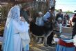 Ver foto 39