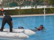Ver foto 8