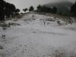 Ver foto 1