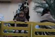 Ver foto 158