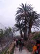 Ver foto 5