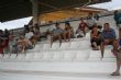 Ver foto 5