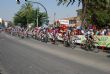 Ver foto 12