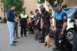 Ver foto 15