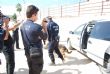 Ver foto 8