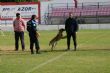 Ver foto 4