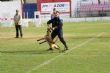Ver foto 5