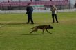 Ver foto 6