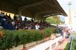 Ver foto 7