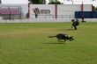 Ver foto 14