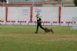Ver foto 19