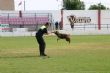 Ver foto 23