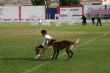 Ver foto 24