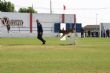 Ver foto 31
