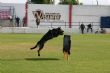 Ver foto 39