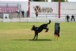 Ver foto 40