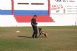 Ver foto 44