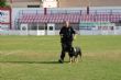 Ver foto 51